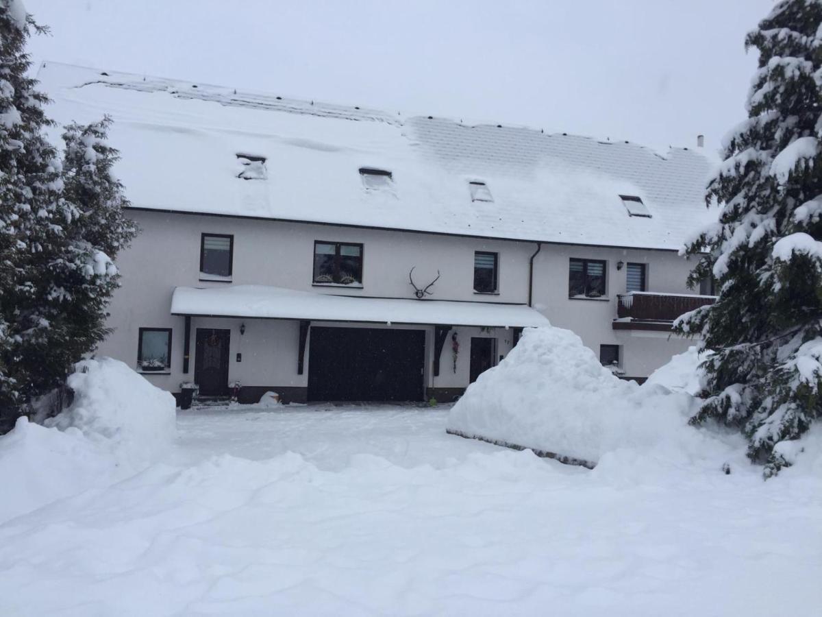 Ferienwohnung Juedel Mit Saunanutzung Beierfeld 외부 사진